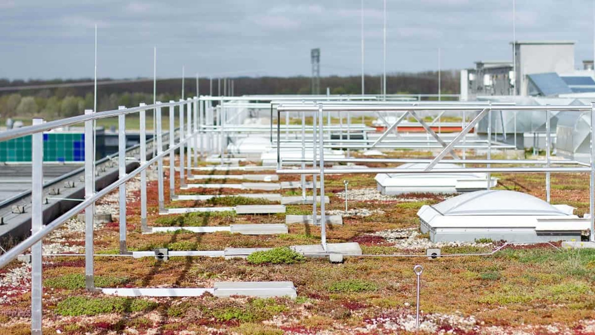 Vorgeschriebene Absturzsicherung auf Flachdächern