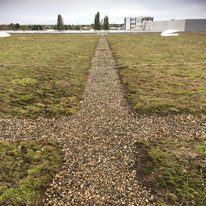 NIS Roof Services | NIS Roof Management | Gründachpflege | Fachgerecht und kostengünstig